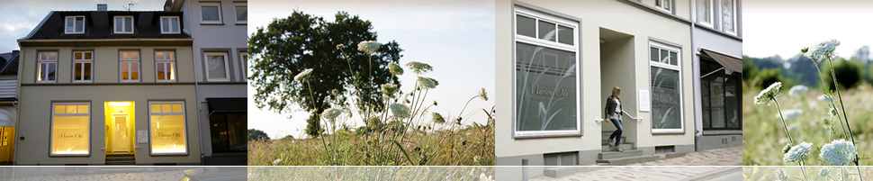 Eine Fotocollage von Innenansichten aus der Praxis.